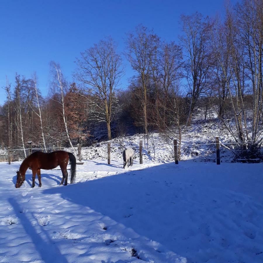 Le Gite Du Cheval Blanc Fraize Экстерьер фото